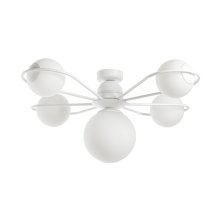 Люстра потолочная с плафонами 50208/2