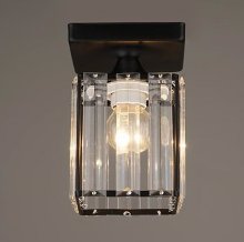 Светильник потолочный Sirius S8883/1H