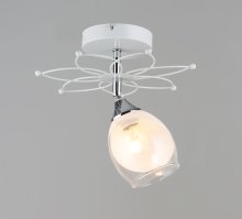 Светильник потолочный Sirius S1005/1H