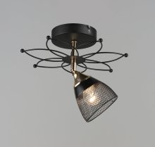 Світильник стельовий Sirius S2005/1H