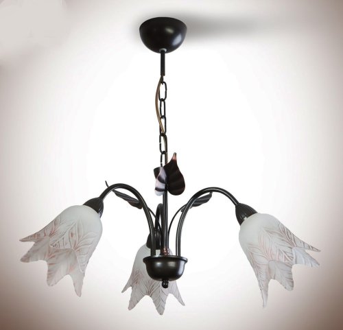 Люстра флористика N&B Light Айстра 18133