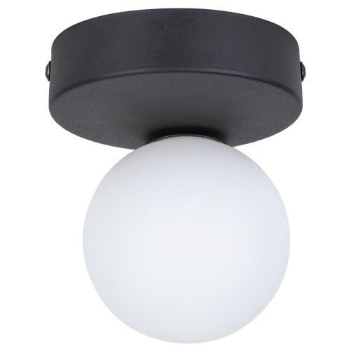 Светильник потолочный TK Lighting Bianca Black 5681