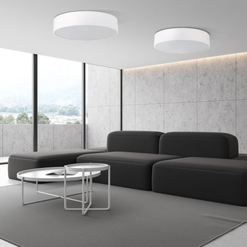 Светильник потолочный TK Lighting LIVO WHITE 10987 IP54