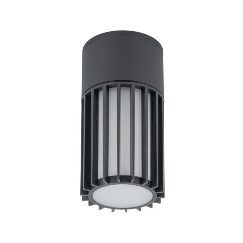 Светильник потолочный TK Lighting RIBO GRAY 11508 ІР54