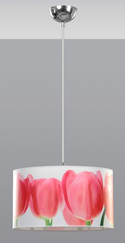 Люстра подвес Emibig Shades fleur 640/3