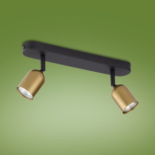Світильник спрямованого світла TK Lighting Top 2 3303