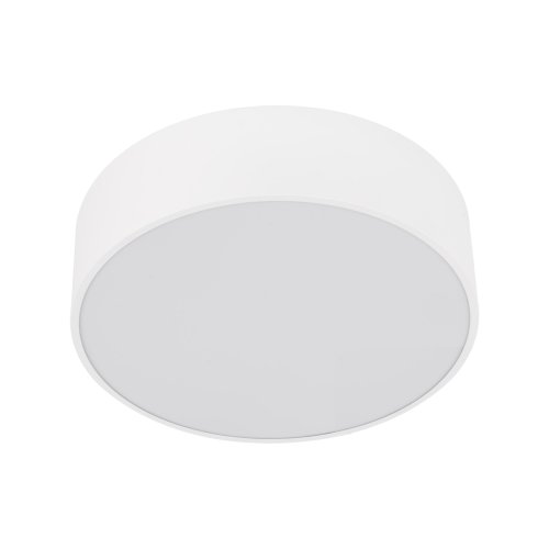 Светильник потолочный TK Lighting LIVO WHITE 10987 IP54
