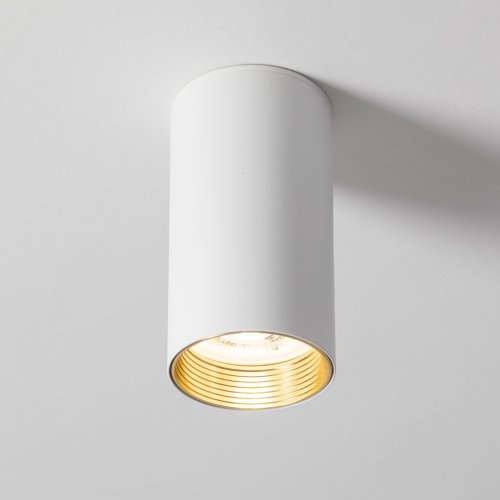 Светильник точечный накладной TK Lighting AMIS WHITE 10719