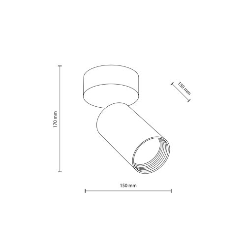 Светильник точечный накладной TK Lighting AMIS WHITE 10794