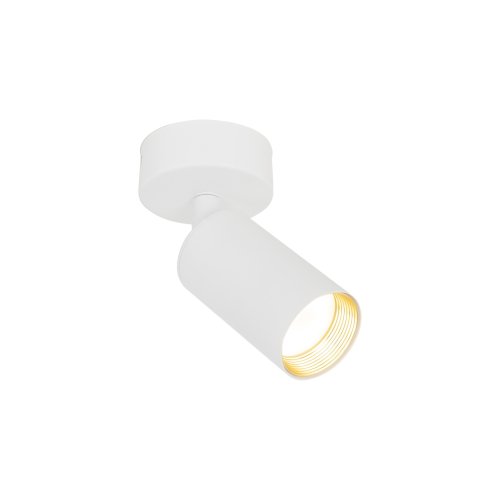 Светильник точечный накладной TK Lighting AMIS WHITE 10794