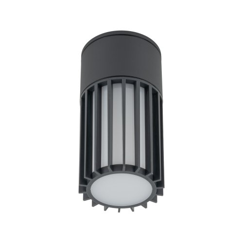 Светильник потолочный TK Lighting RIBO GRAY 11508 ІР54