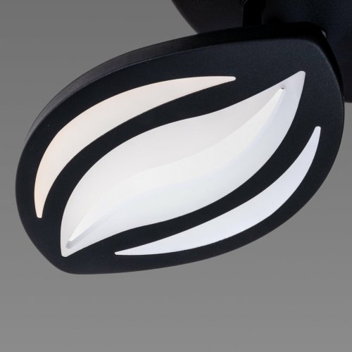 Люстра светодиодная Sirius S4406/5 ВК 52W LED с пультом+диммер
