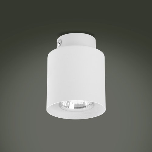 Светильник потолочный TK Lighting Vico White 3406