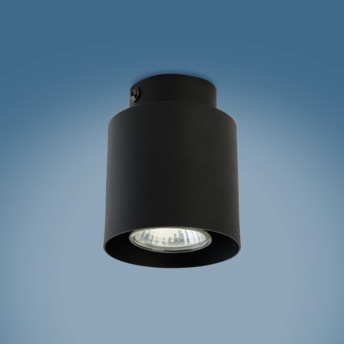 Светильник потолочный TK Lighting Vico Black 3410