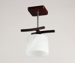 Светильник потолочный Sirius S6051/1H