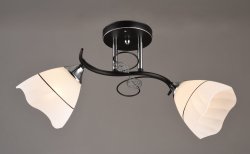 Люстра потолочная Sirius 8743/2H