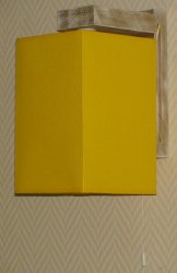 Світильник настінний (бра) з абажуром 01881/11