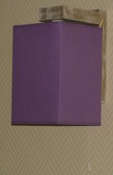 Світильник настінний (бра) з абажуром 01881/12