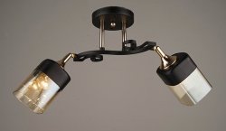 Люстра потолочная Sirius S6483/2H