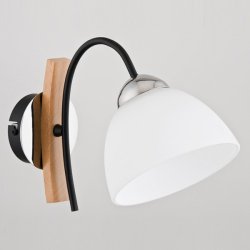 Світильник настінний (бра) ALFA Jona 22990