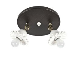 Люстра потолочная лофт SL 6021-2К