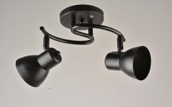 Люстра потолочная Sirius 6231/2H