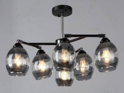 Люстра потолочная Sirius S2951/6H