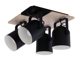 Светильник потолочный лофт TK Lighting Spectro Black 2632