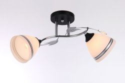 Люстра потолочная Sirius N5752/2H