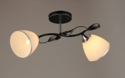 Люстра потолочная Sirius S9072/2H