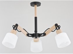 Люстра современная ALFA Bridge 24273