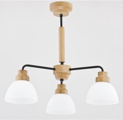 Люстра классическая ALFA Woody 24213