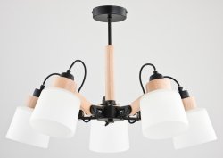 Люстра современная ALFA Dantona Bis 24285