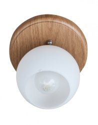 Светильник потолочный лофт SL 9203-1С