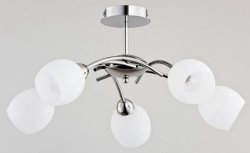 Люстра современная ALFA Kamina 24905