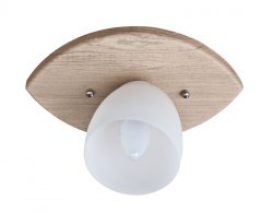 Светильник потолочный лофт SL 7203-1С