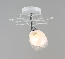 Светильник потолочный Sirius S1005/1H