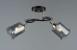 Люстра потолочная Sirius S2684/2H