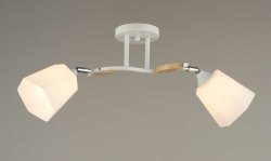 Люстра потолочная Sirius S7684/2H