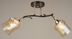 Люстра потолочная Sirius 6003/2Н