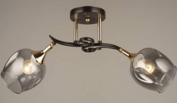 Люстра потолочная Sirius 9003/2Н