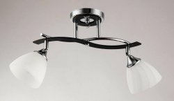 Люстра потолочная Sirius S2570/2H