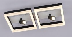 Люстра светодиодная Sirius 60233/2 WT+ВК 110W LED с пультом