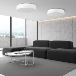 Светильник потолочный TK Lighting LIVO WHITE 10987 IP54