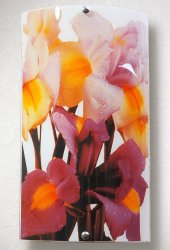 Светильник настенный (бра) 805