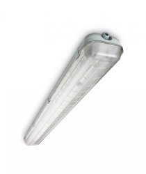 Светильник герметичный Philips TCW060 2xTL-D58W HF