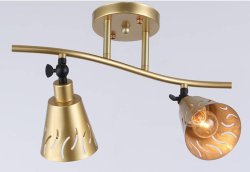 Світильник спрямованого світла(спот) Sirius 21105/2W