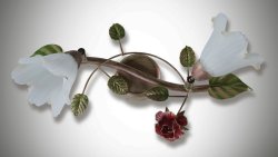 Светильник настенный (бра) 2151/3