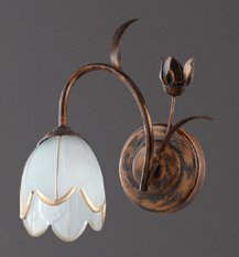 Светильник настенный(бра) TINKO 53072/1W