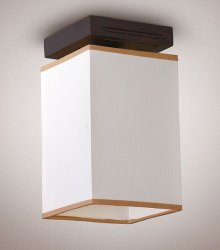 Светильник потолочный 10881